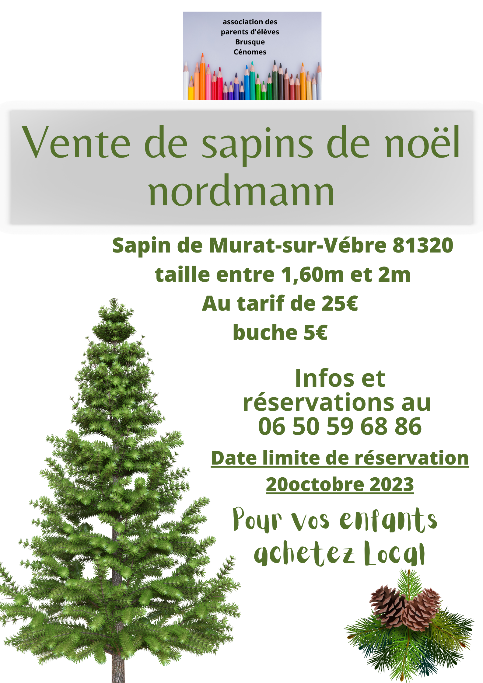 Vente De Sapin De Noel Jardiland 2025 Lucky Brandie